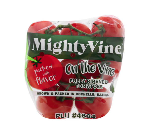 ⁦Tomatoes on the Vine⁩ - الصورة ⁦2⁩